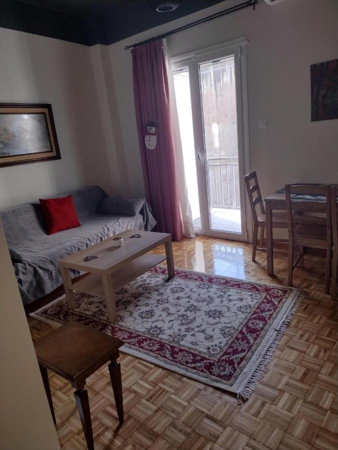 City Center Apartment Ioannina Ngoại thất bức ảnh